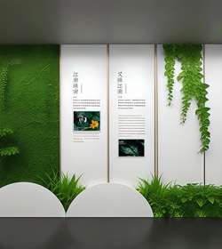 绿植企业文化墙设计制作